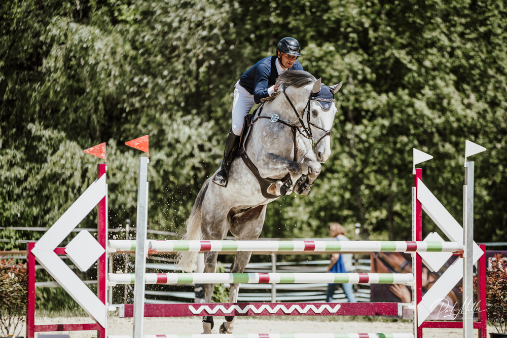 Henry Z im Turnierparcours