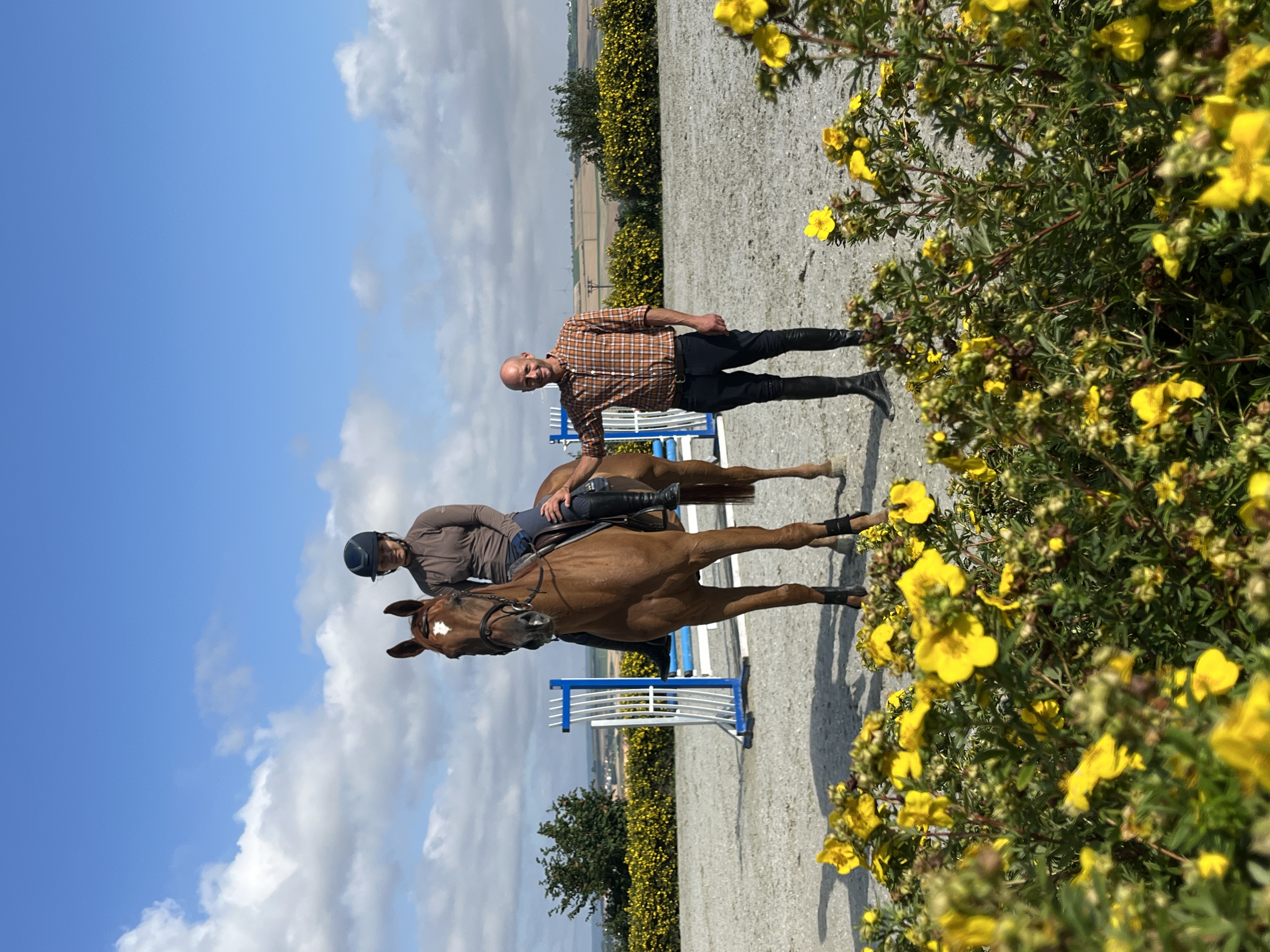 Fabiano Alexandre Meyer-Giulini beim Training mit Reiterin und Pferd auf dem Springplatz