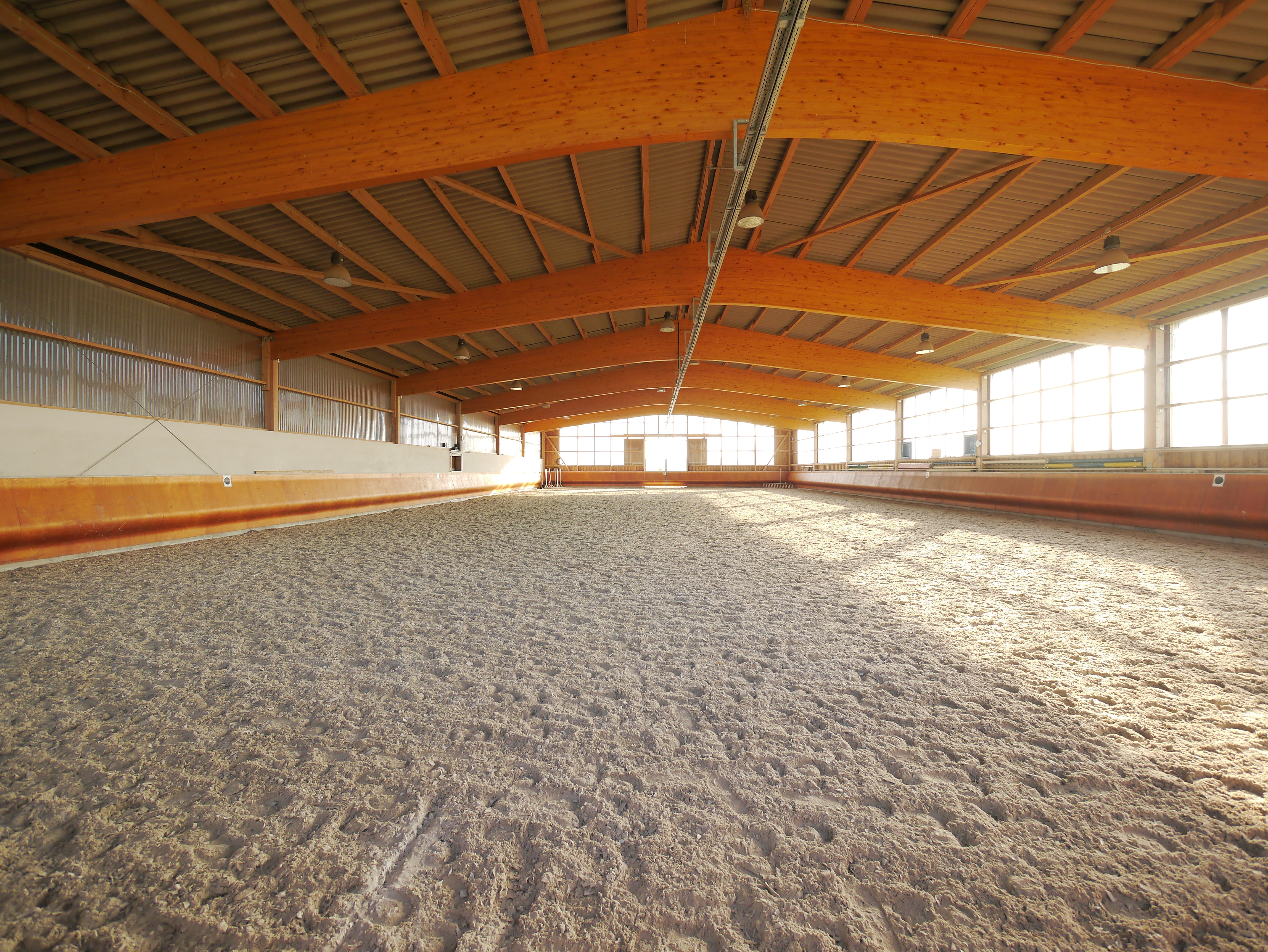 Moderne Reithalle mit weitem Sandboden und offener Holzdachkonstruktion