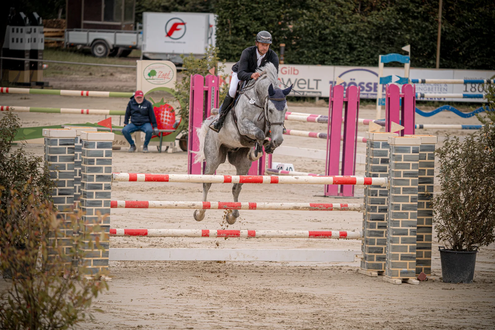 Springpferd im Parcours über ein Hindernis