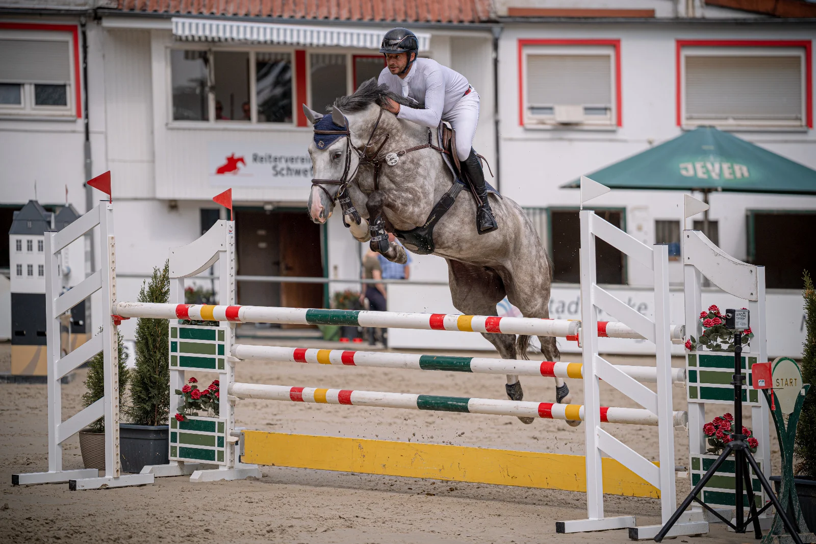 Schimmel im Turnierparcours