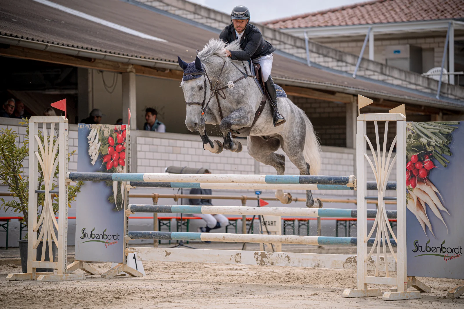 Schimmel im Parcours vor der Stallanlage