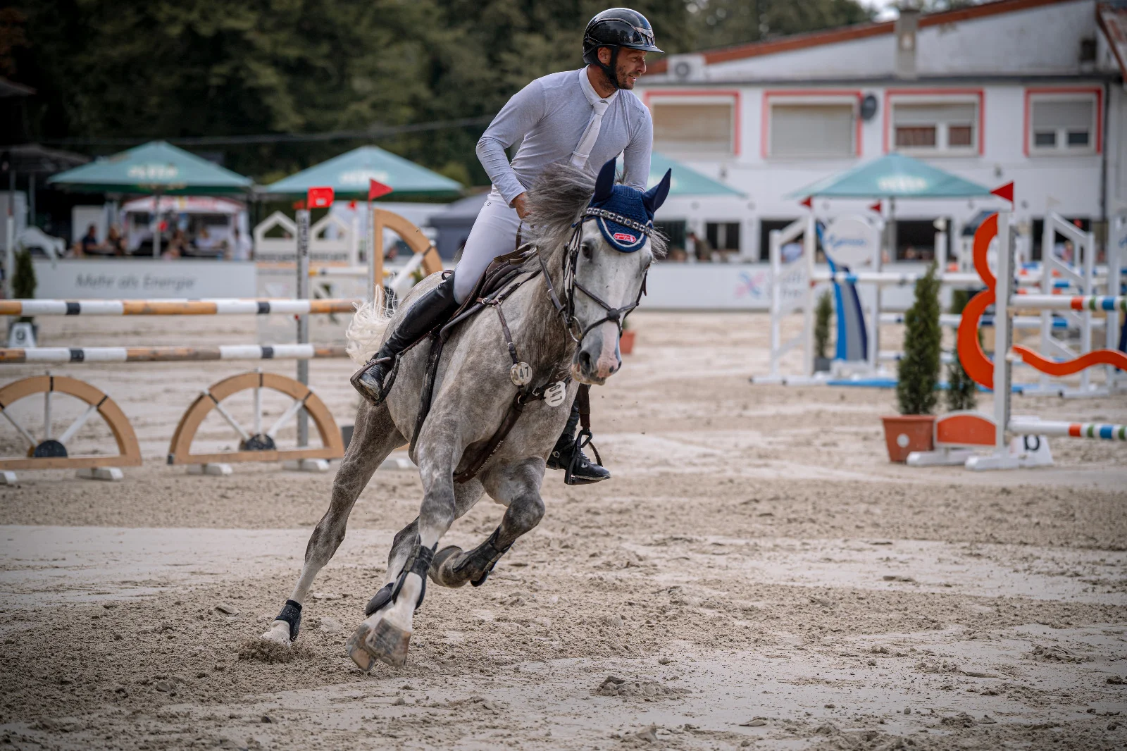 Schimmel im Galopp auf dem Turnierplatz