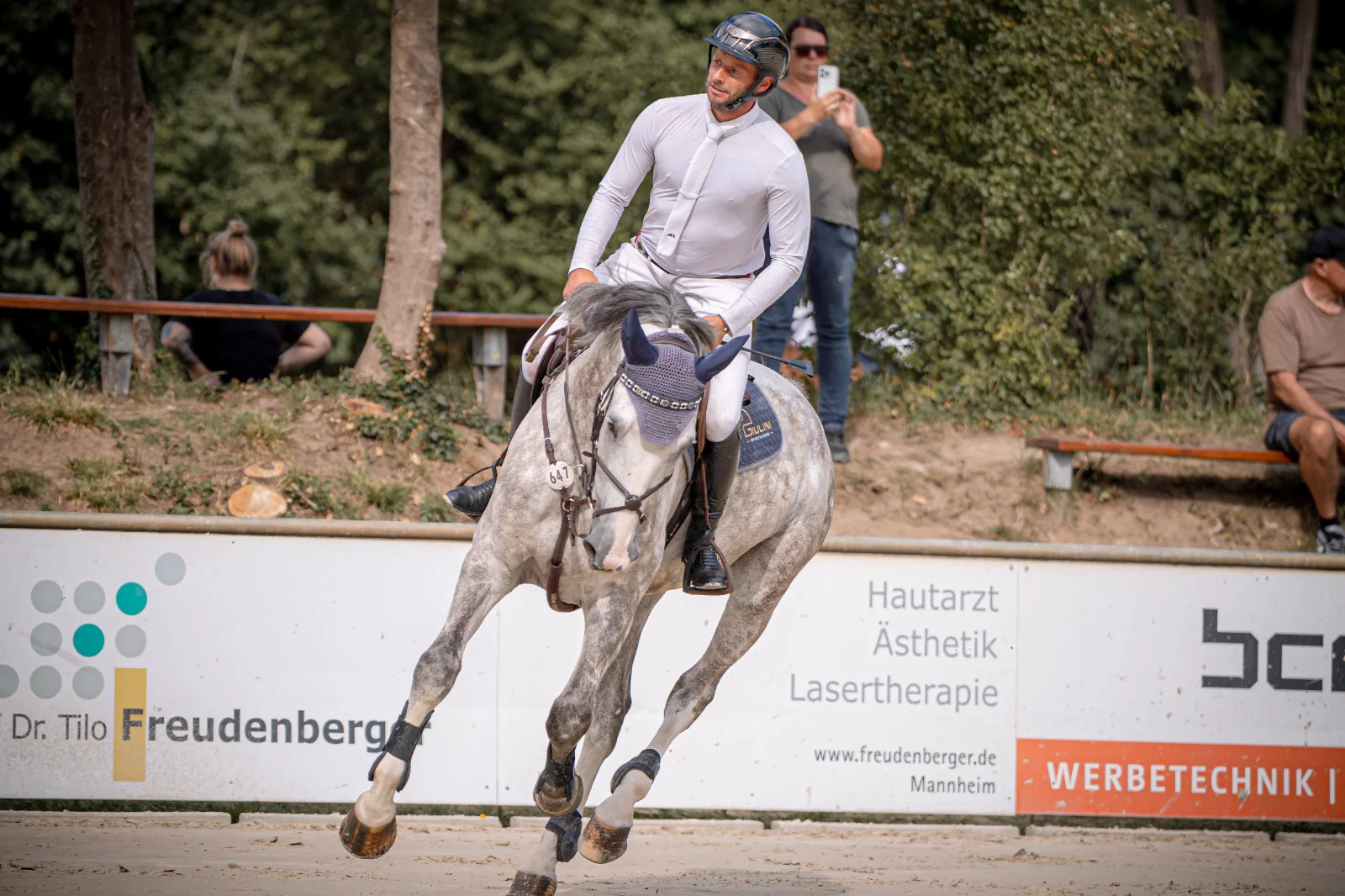 Schimmel im Galopp bei der Turniervorstellung