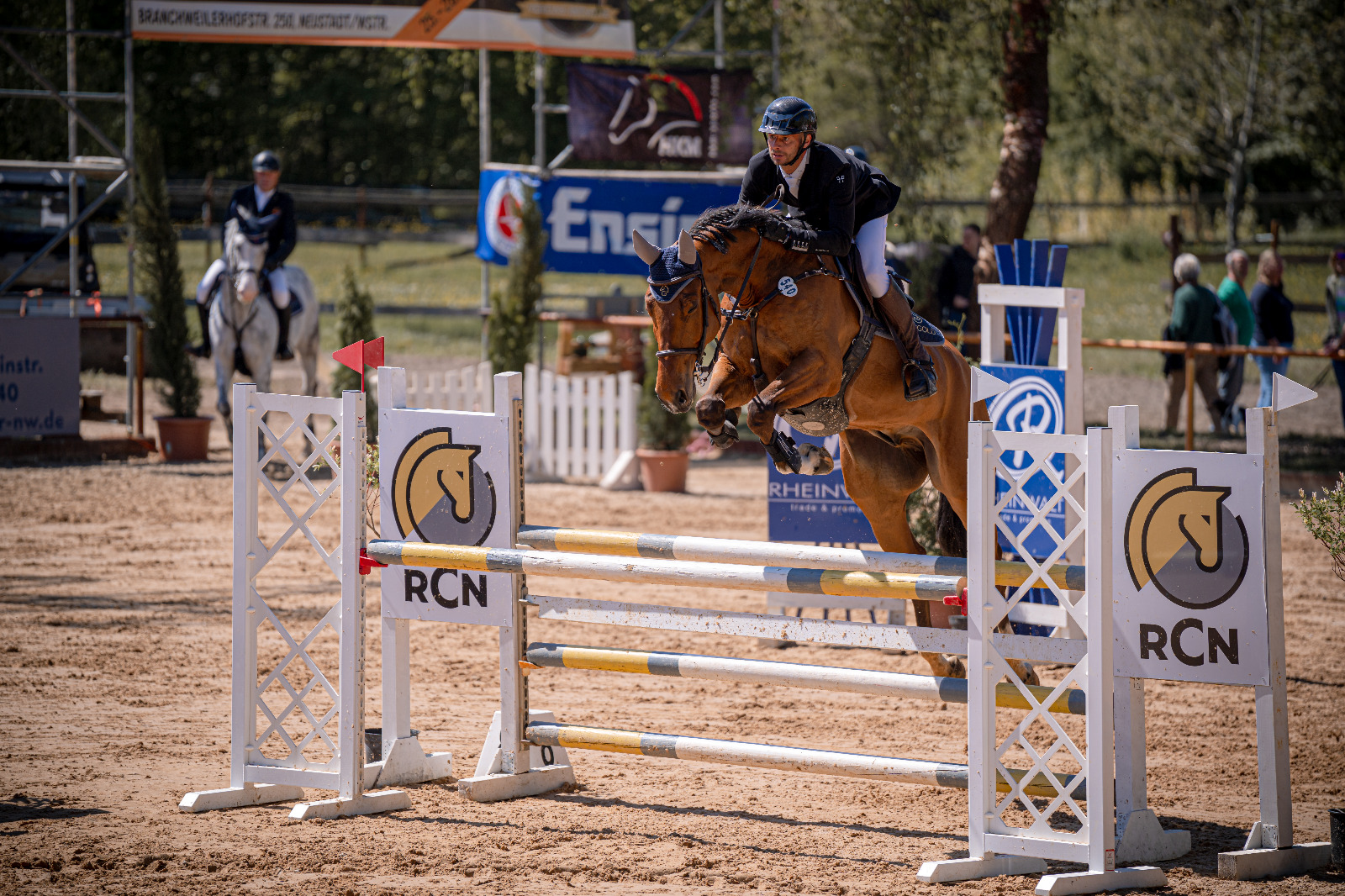 Springpferd im Turniersprung